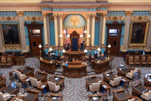 Michigan State Senate