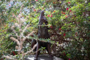 Wolf scupture with roses